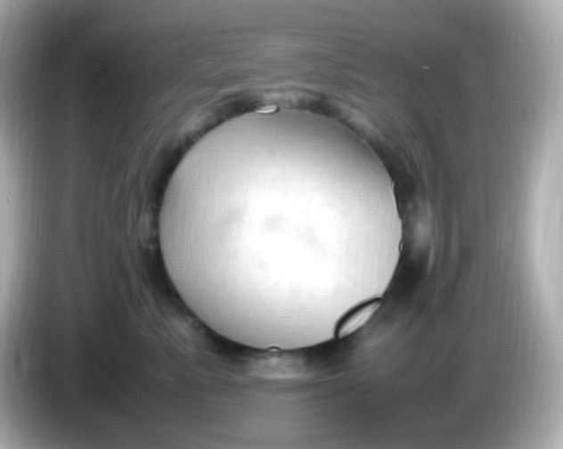 X0000086030619200704091133