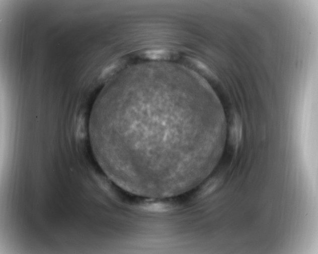 X0000086030620200704091133