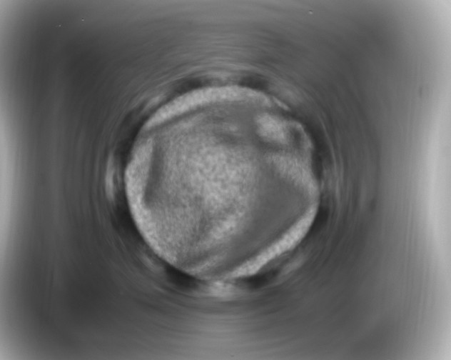 X0000086030623200704091133