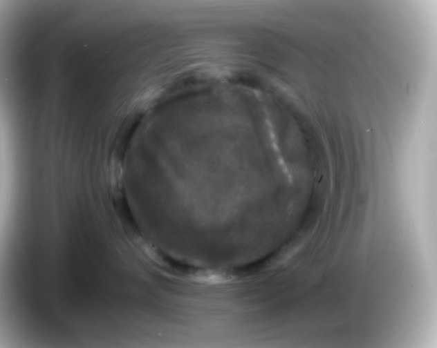 X0000086030624200704091133