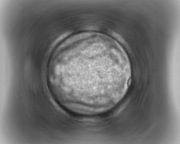 X0000086030625200704091133