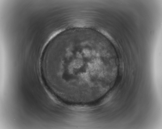 X0000086030626200704091133