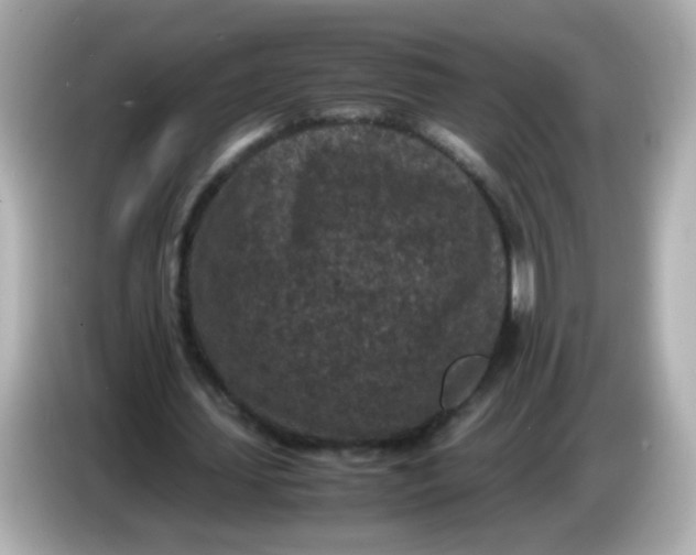 X0000086030627200704091133