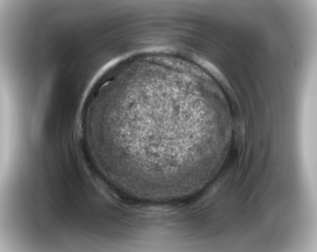 X0000086030628200704091133