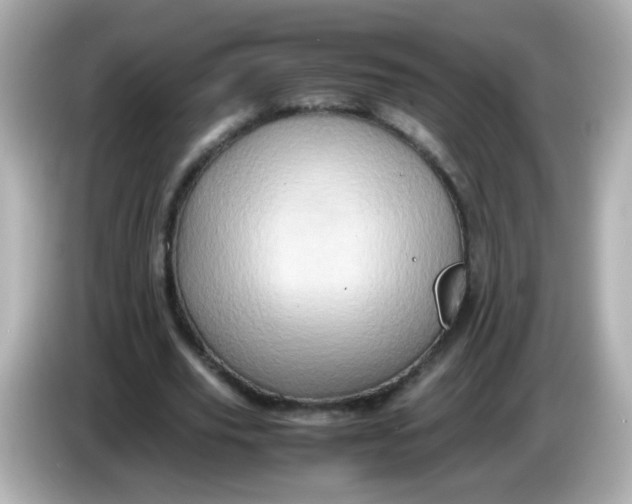 X0000086030629200704091133