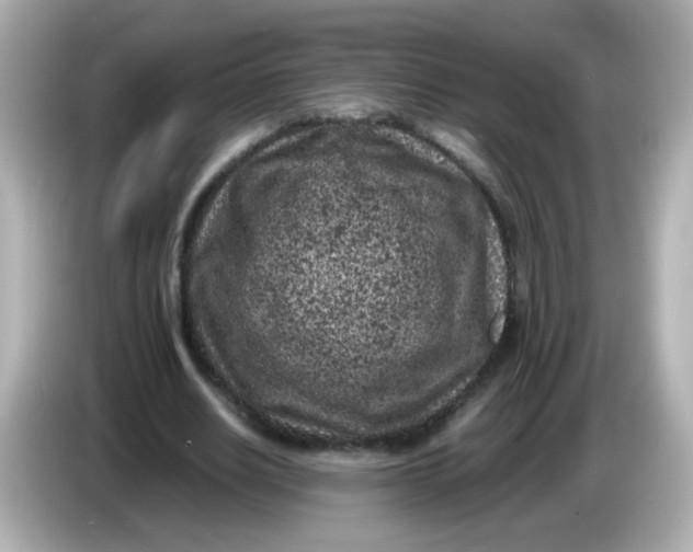 X0000086030630200704091133