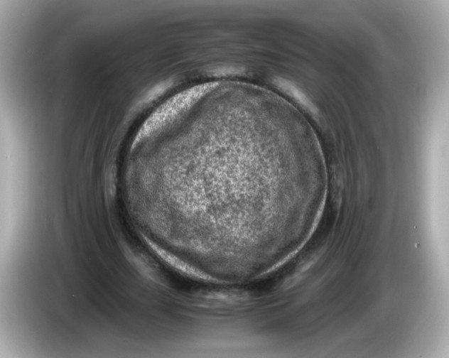 X0000086030631200704091133