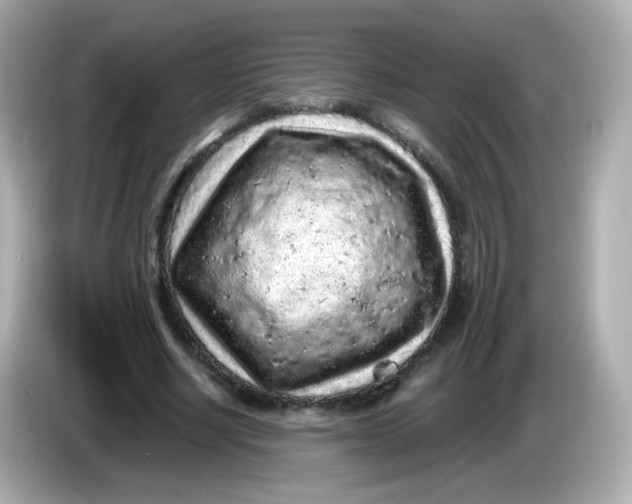 X0000086030634200704091133