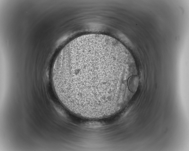 X0000086030636200704091133