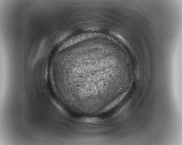 X0000086030637200704091133