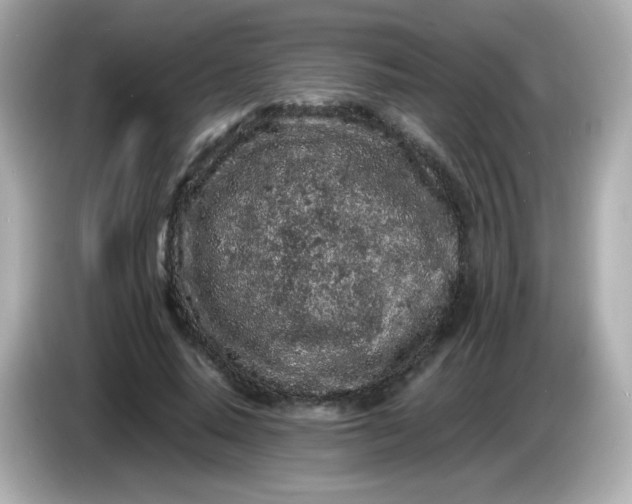 X0000086030640200704091133