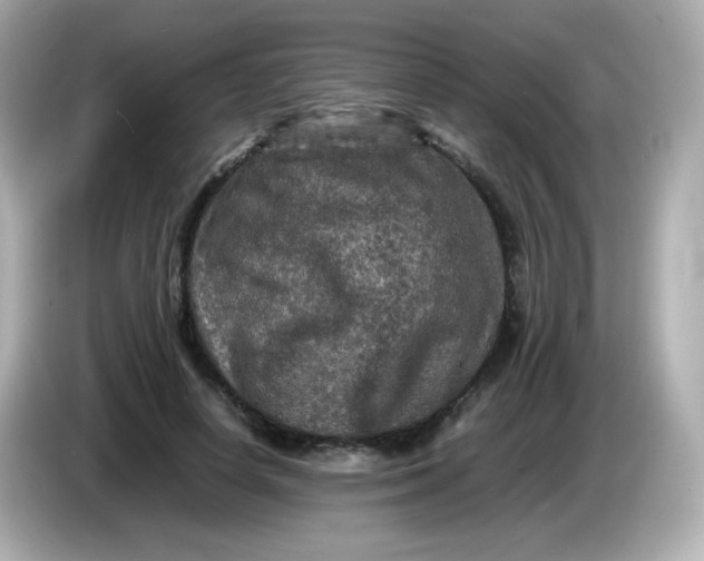 X0000086030642200704091133