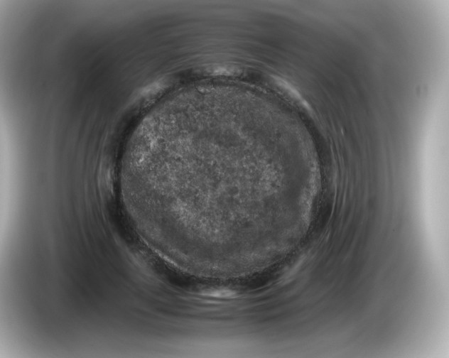 X0000086030643200704091133