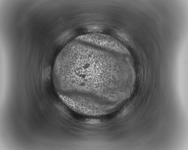 X0000086030649200704091133