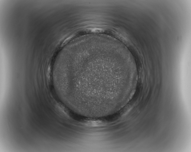 X0000086030650200704091133