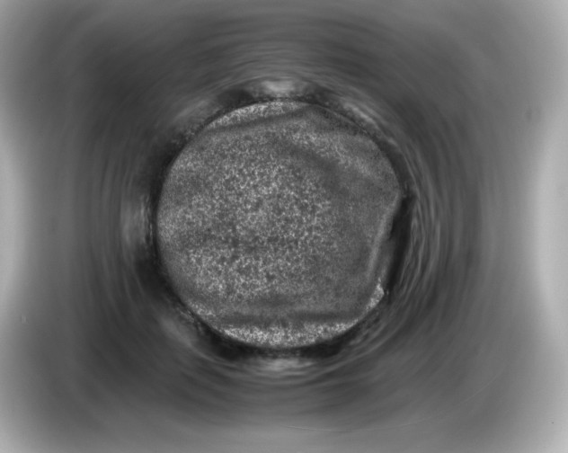 X0000086030651200704091133