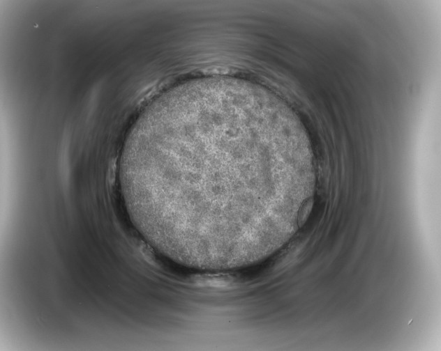 X0000086030652200704091133