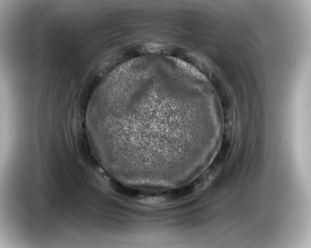 X0000086030653200704091133