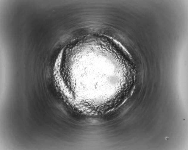 X0000086030654200704091133