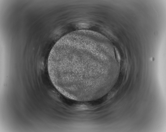 X0000086030655200704091133