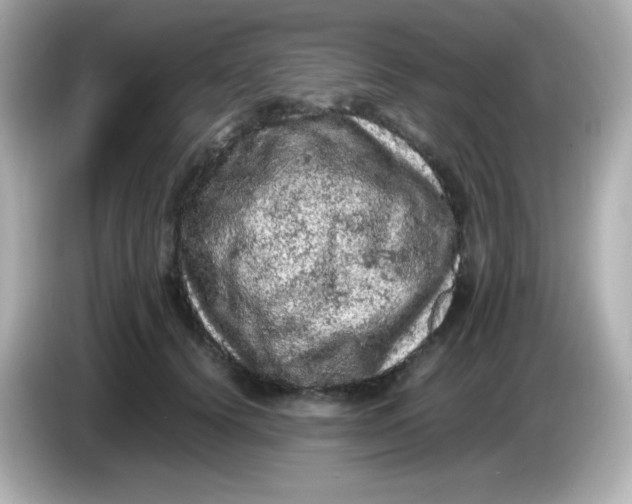 X0000086030656200704091133