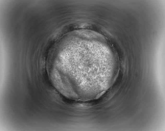 X0000086030657200704091133