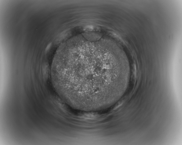 X0000086030659200704091133