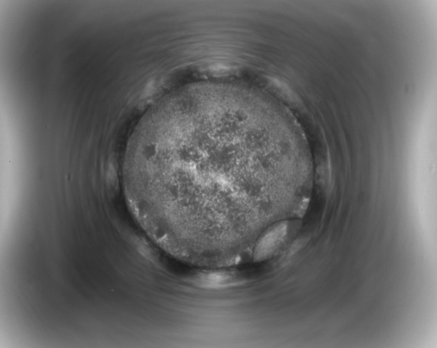 X0000086030662200704091133