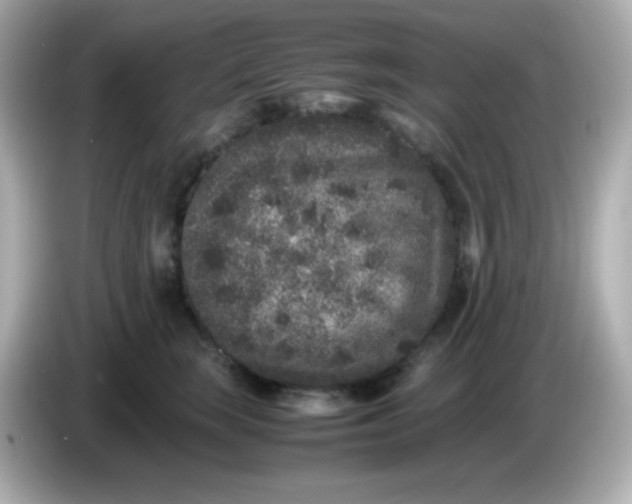 X0000086030663200704091133