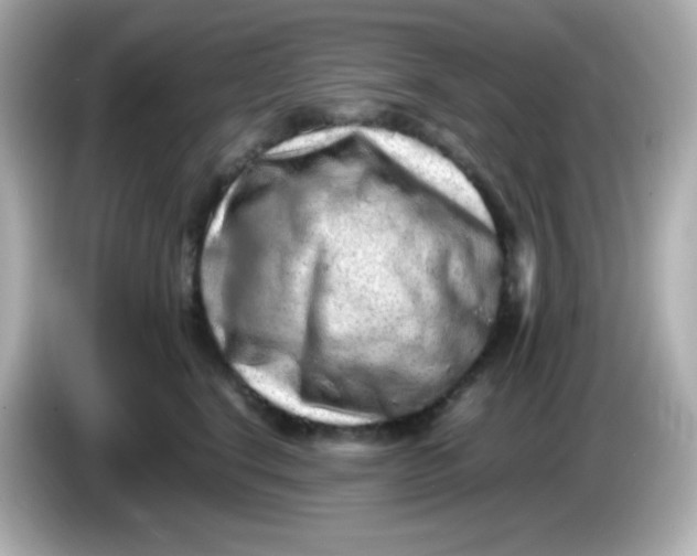 X0000086030664200704091133