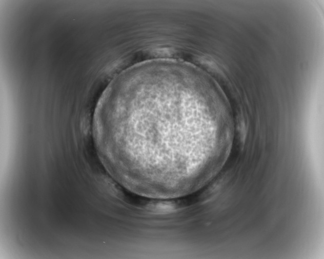 X0000086030665200704091133