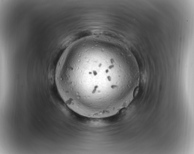 X0000086030666200704091133