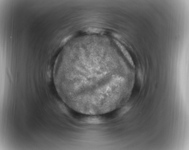 X0000086030668200704091133