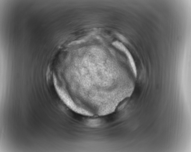 X0000086030669200704091133