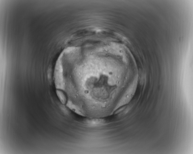 X0000086030670200704091133