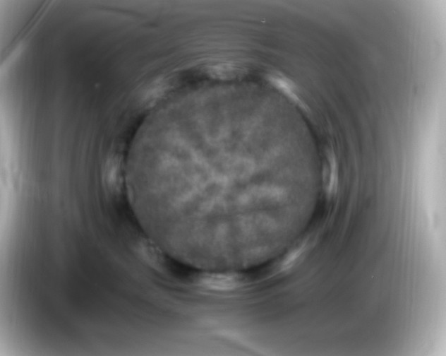 X0000086030671200704091133