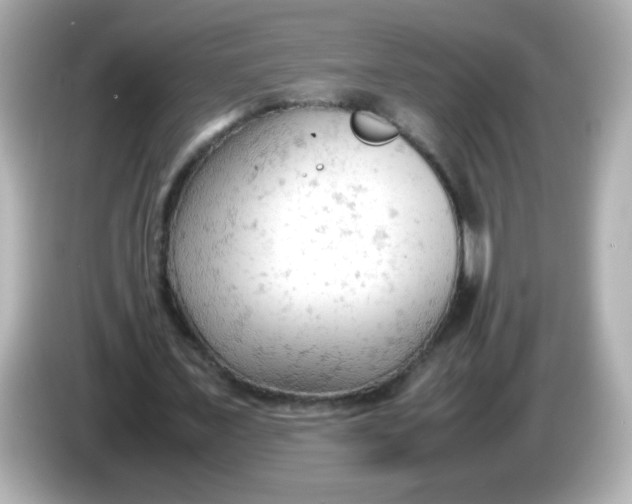 X0000086030675200704091133