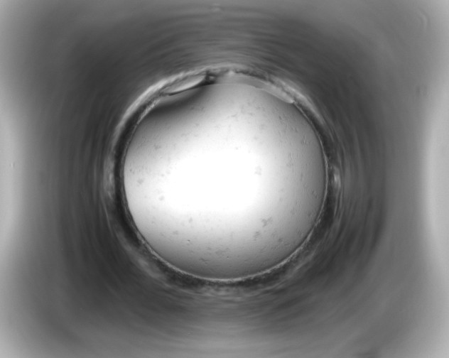 X0000086030676200704091133