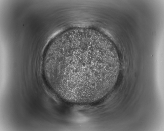 X0000086030679200704091133