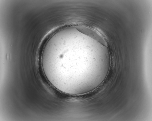 X0000086030680200704091133