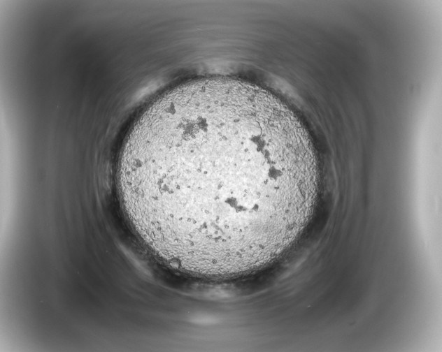 X0000086030683200704091133