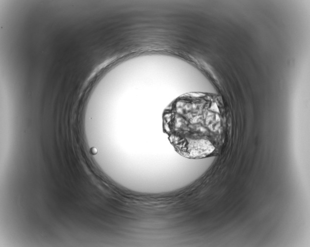 X0000086030684200704091133