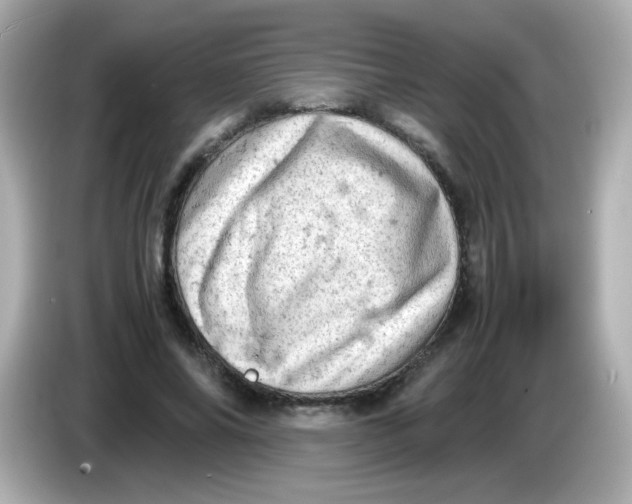 X0000086030686200704091133