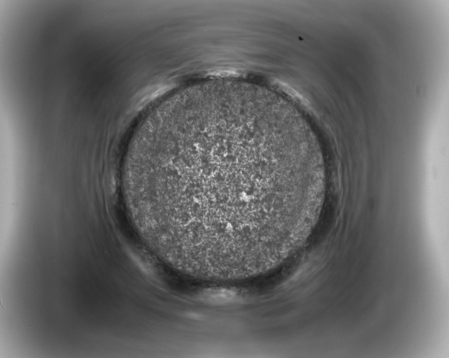 X0000086030687200704091133