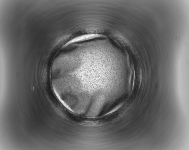 X0000086030690200704091133