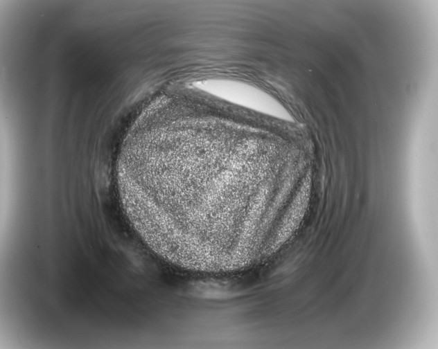 X0000086030691200704091133