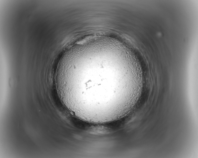 X0000086030695200704091133