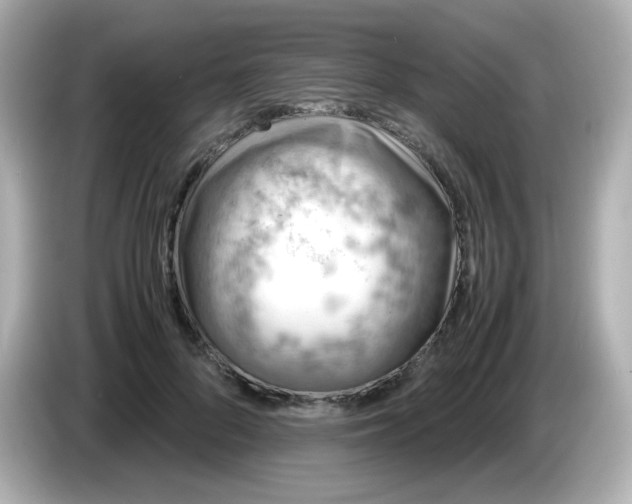 X0000086030696200704091133