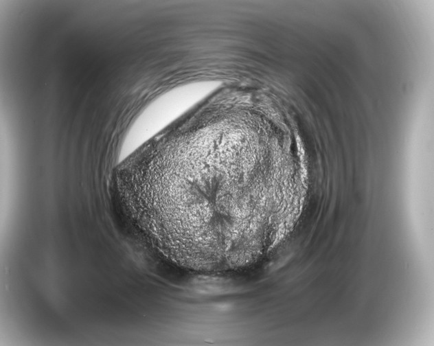 X0000086030699200704091132