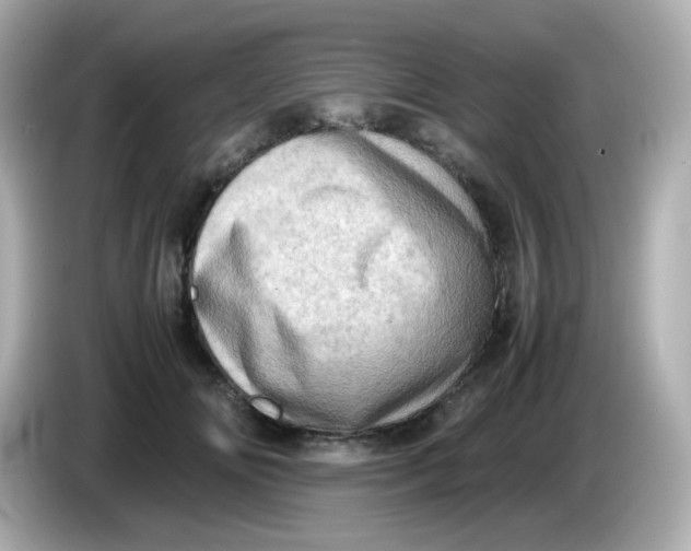 X0000086030702200704091132